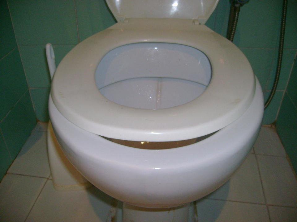 Zu kleiner WC-Deckel Riadh Palms Resort & Spa