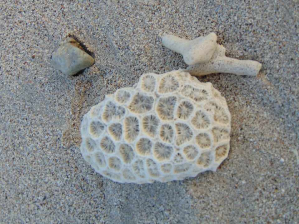 Strand Amber Lombok Beach Resort