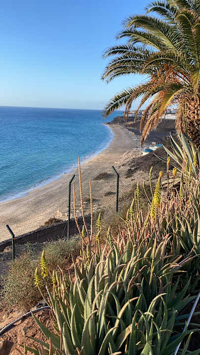 Strand ROBINSON ESQUINZO PLAYA