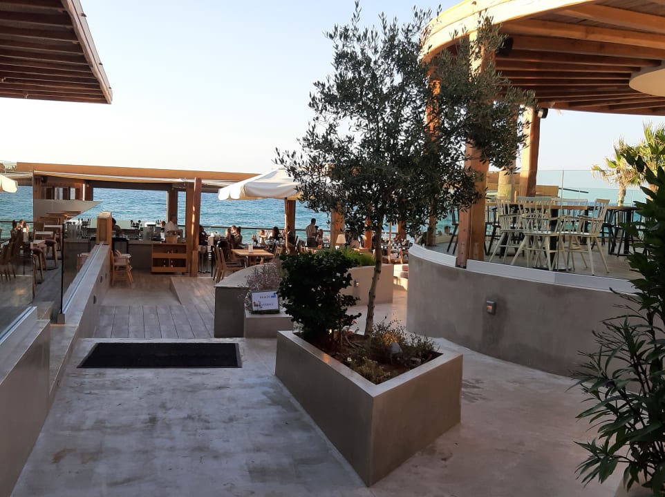 Gastro Cactus Beach