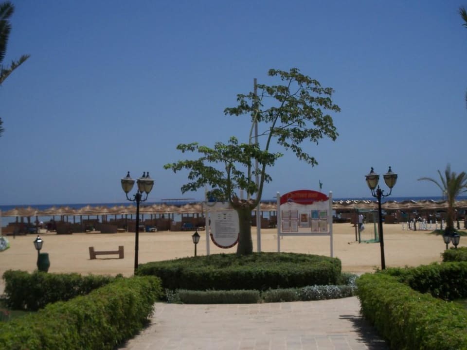 Widok na parasole na plaży Titanic Beach Spa & Aqua Park