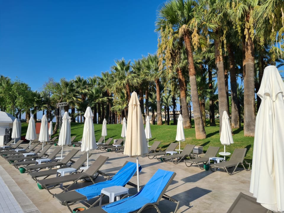 Pool Monachus Family Resort Sorgun