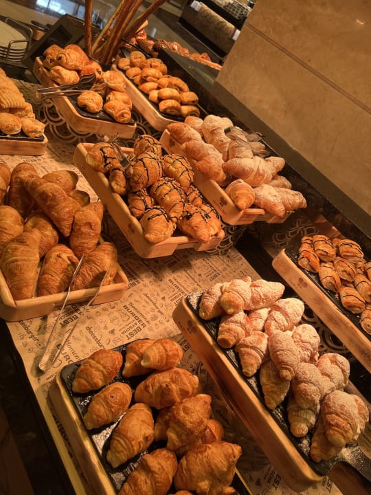 Gastro Papillon Ayscha