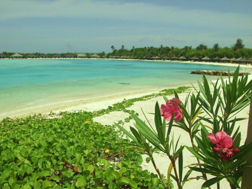 Ein Traum Cinnamon Dhonveli Maldives