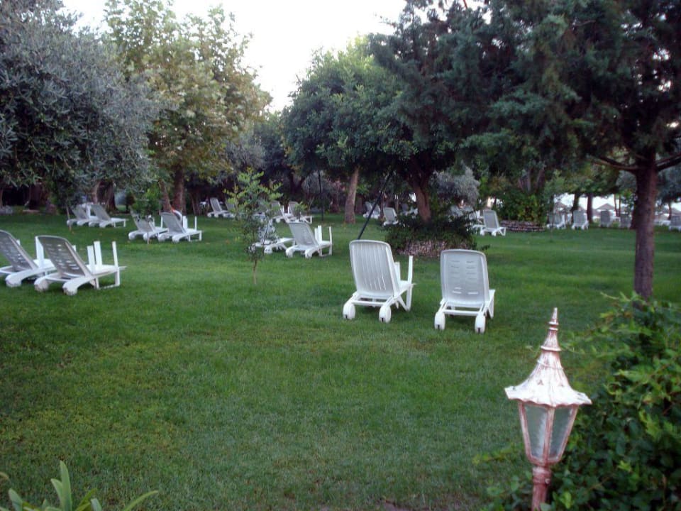 Liegewiese Hotel Defne Ana