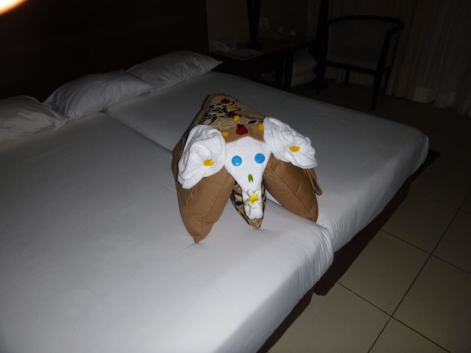 Grüße vom Roomboy Jaz Dar EL Madina