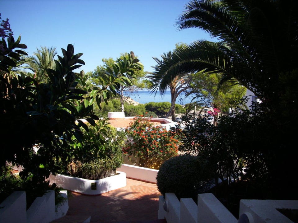 Blick vom braunen Block nach draußen Barceló Portinatx - Adults only