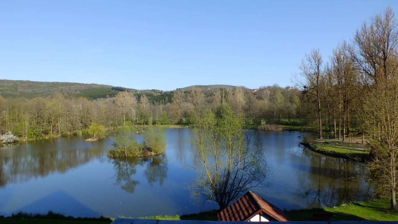 Blick aus dem Hotelzimmer Seehotel Gut Dürnhof