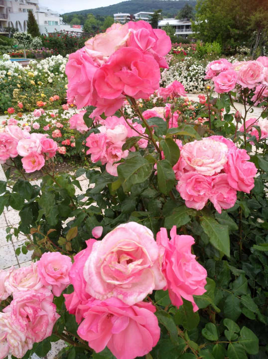 Außenansicht Hotel Borjana