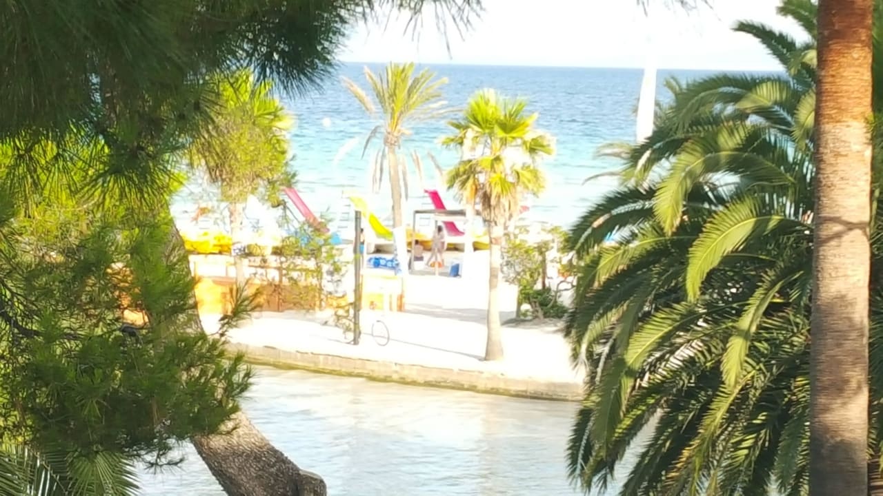 Vom Zimmer allsun App.-Hotel Orquidea Playa