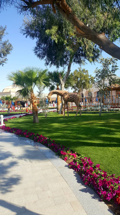 Außenansicht Pickalbatros Jungle Aqua Park Resort - Neverland Hurghada