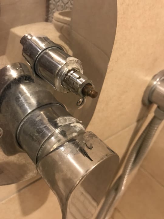 Zimmer Well Palace Side