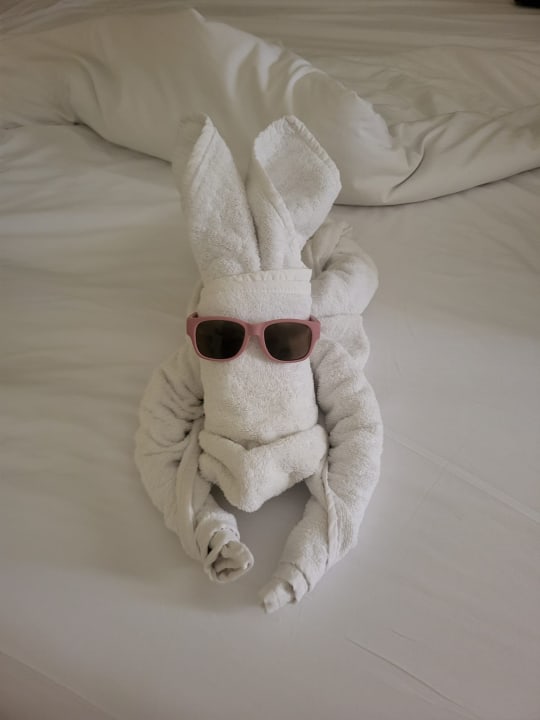 Zimmer Casa Mare Resort