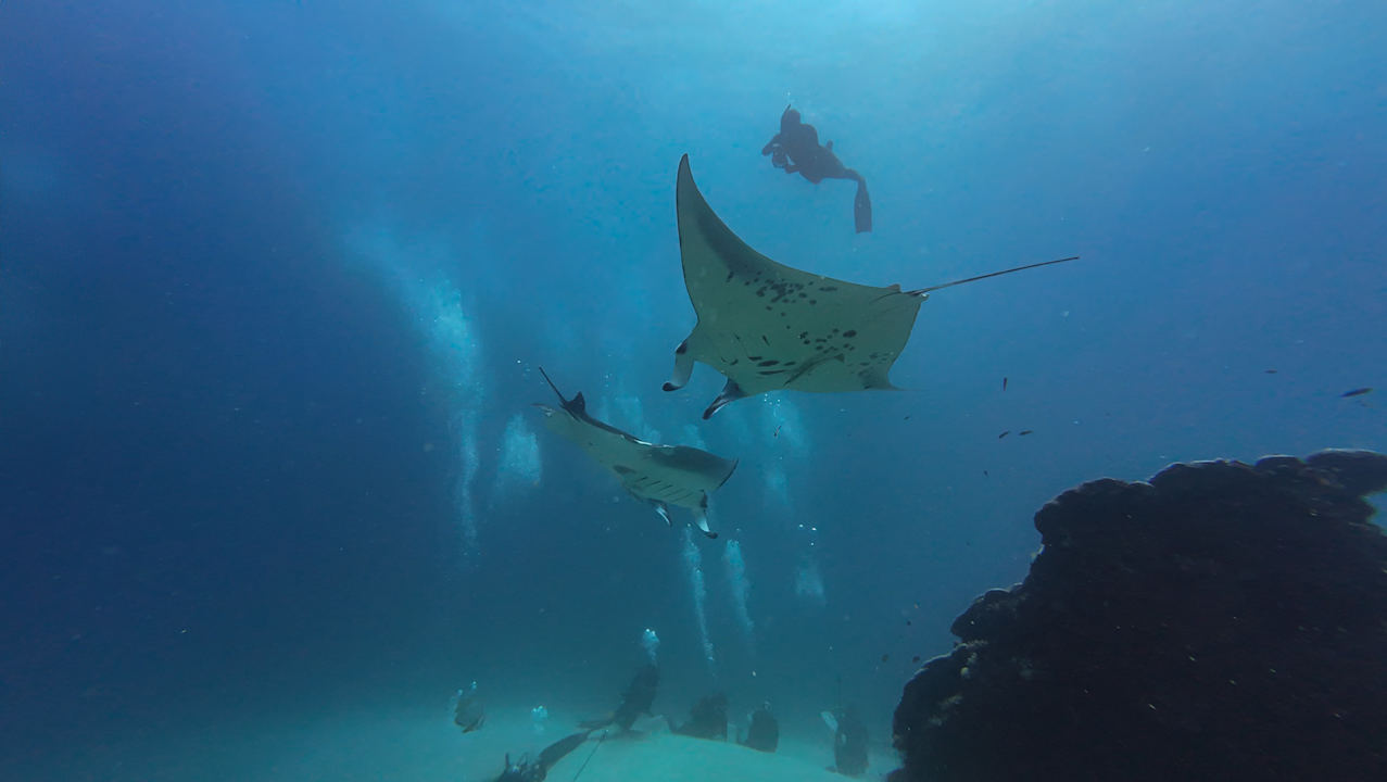 Sport & Freizeit Vilamendhoo Island Resort & Spa