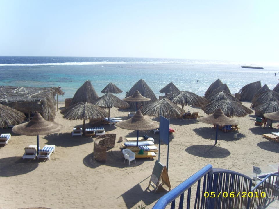 Sonnenliegen Utopia Beach Club
