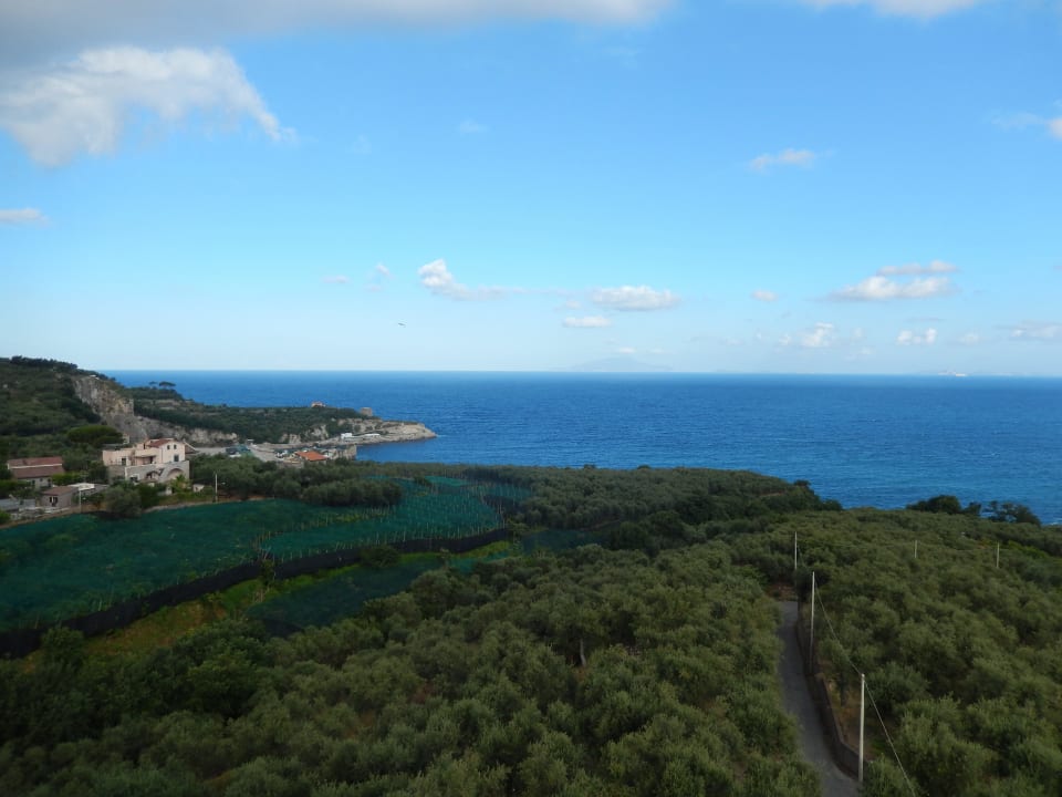 Blick nach links zum Meer Hotel Dania