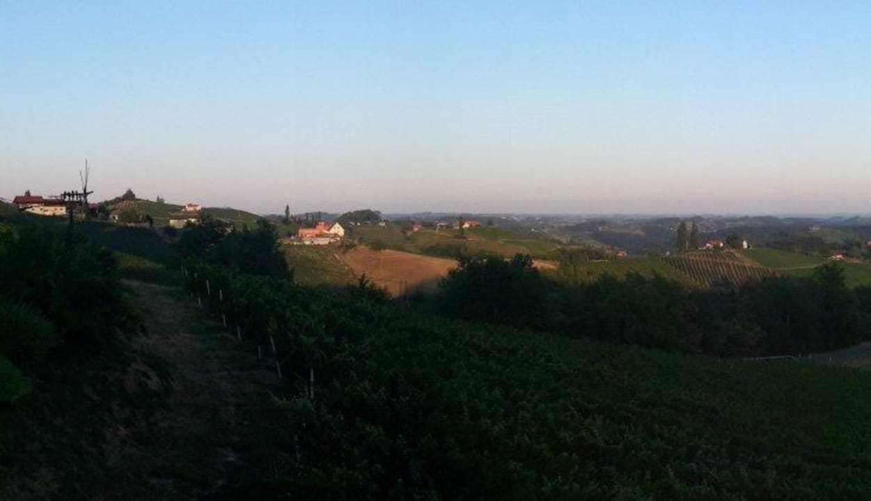 Ausblick über dei Weinberge Gasthof Mahorko