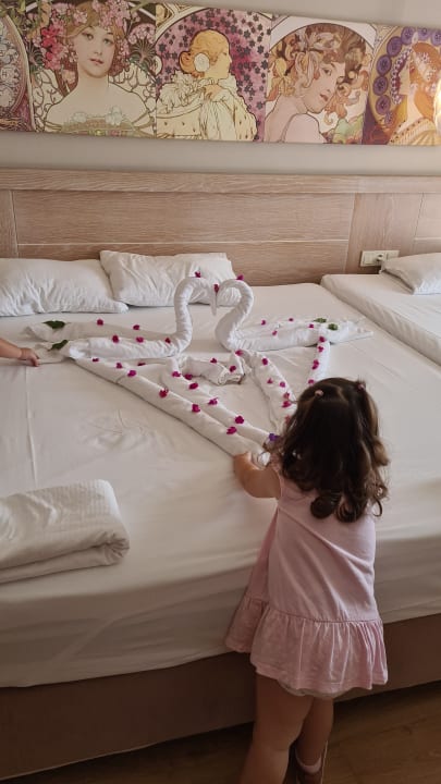 Zimmer Seaden Sea Planet Resort & Spa