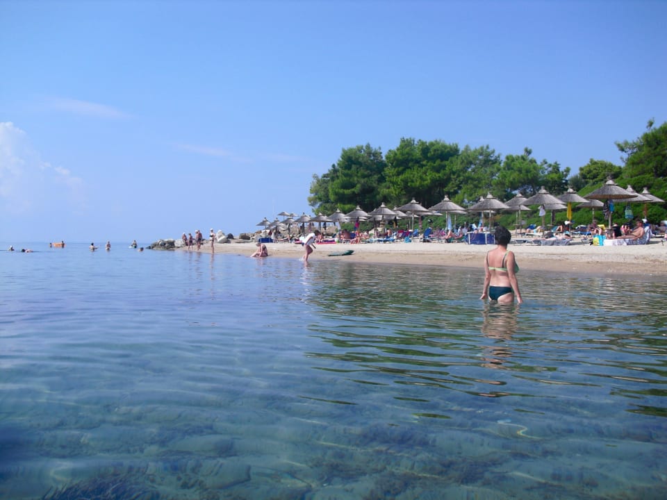 Hoteleigener Strand Blue Dolphin Resort Hotel