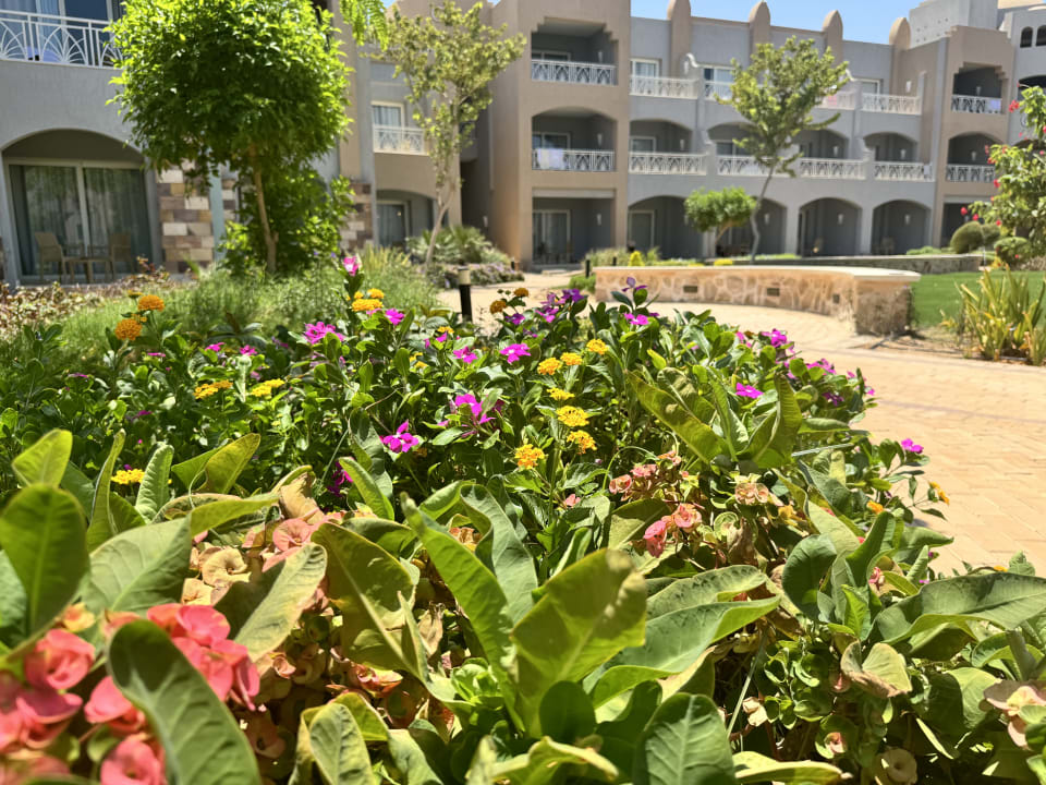 Gartenanlage Lazuli Hotel Marsa Alam