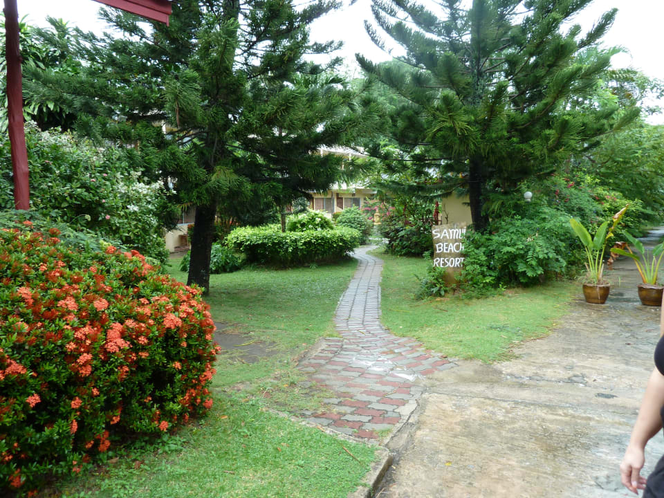 Zugang zum Resort Hotel Samui Beach Resort