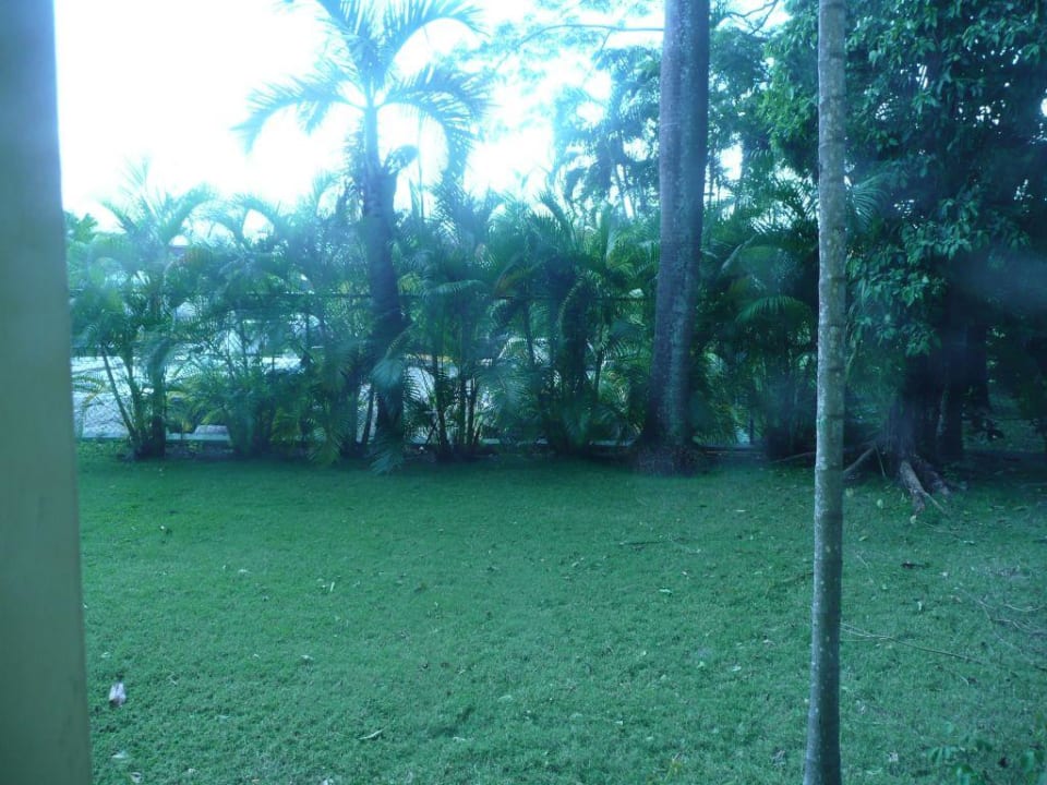 Blick aus dem Fenster Grand Paradise Playa Dorada