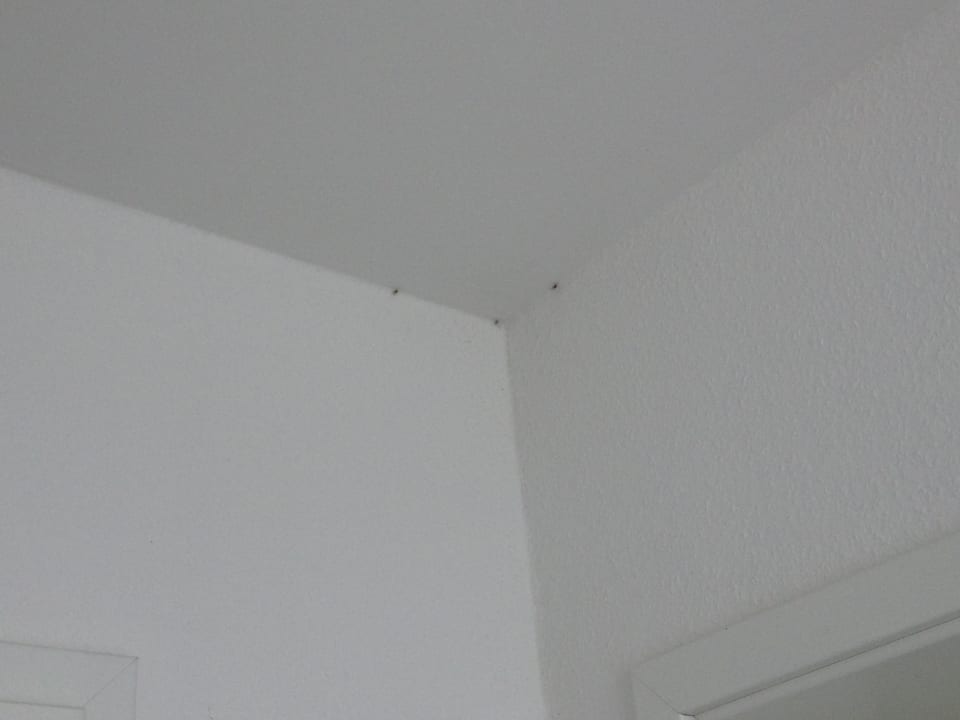 Treppenhaus Ferienpark Müritz