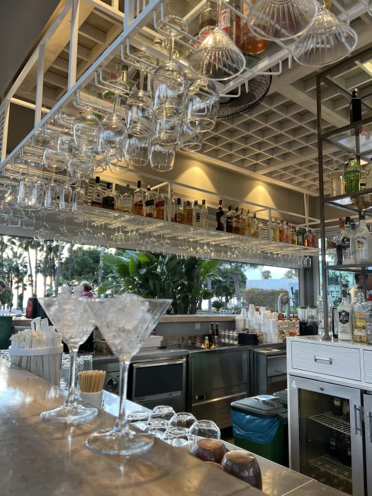 Gastro Acanthus Cennet Barut Collection