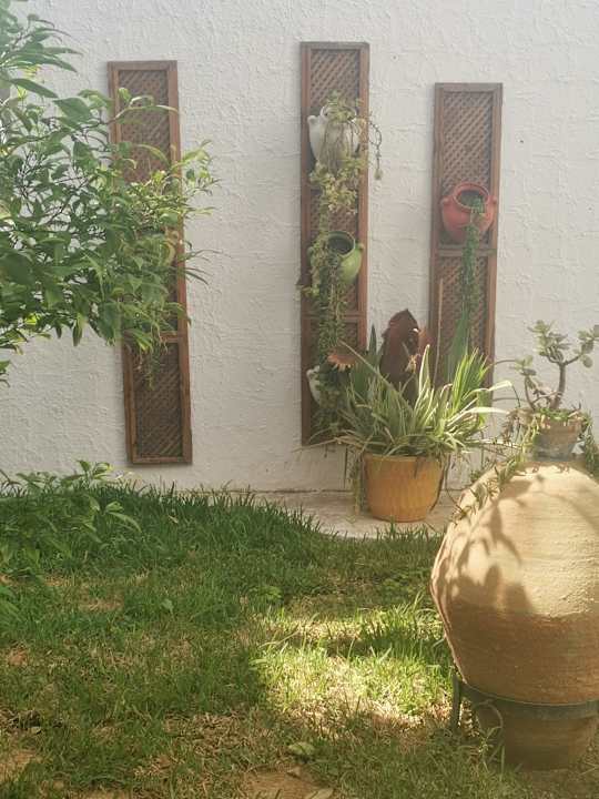 Gartenanlage Hotel Nesrine