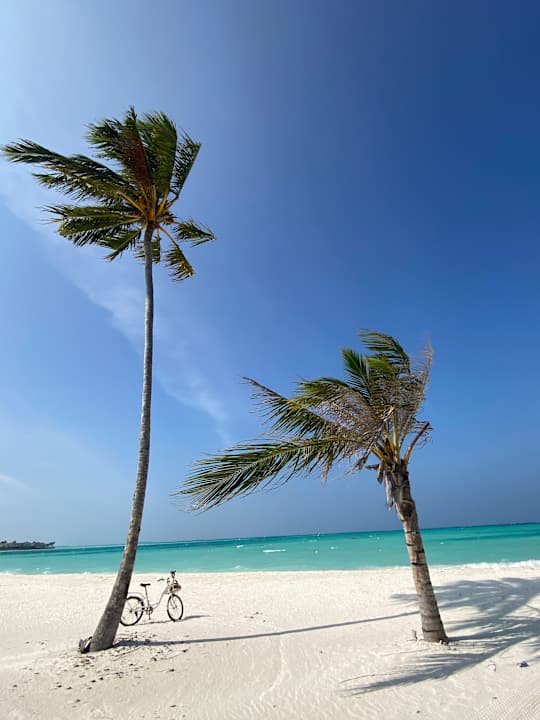 Strand Jawakara Islands Maldives