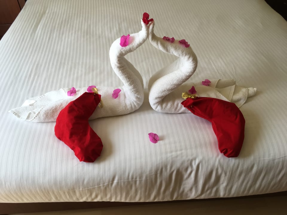 Zimmer Marina Resort Port Ghalib, a member of Radisson Individuals