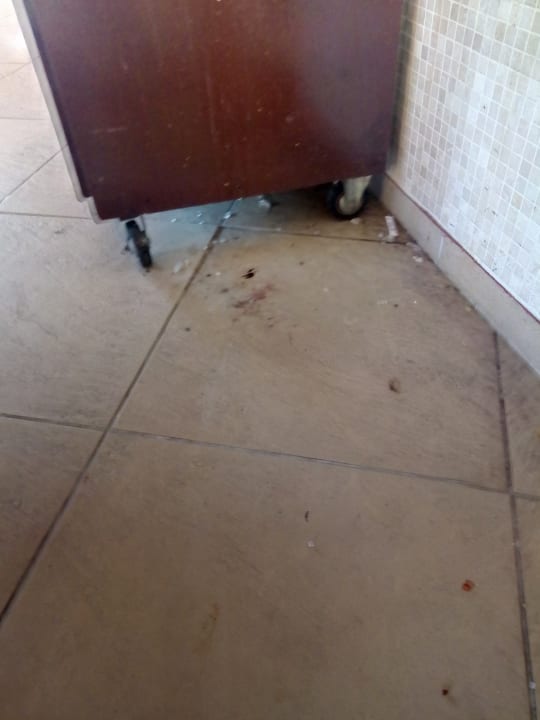 Gastro Hotel Orfeus Park