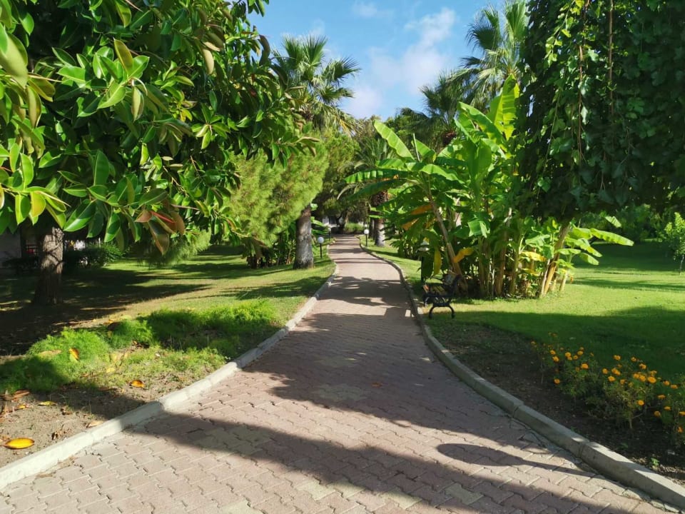 Gartenanlage Starlight Resort Hotel