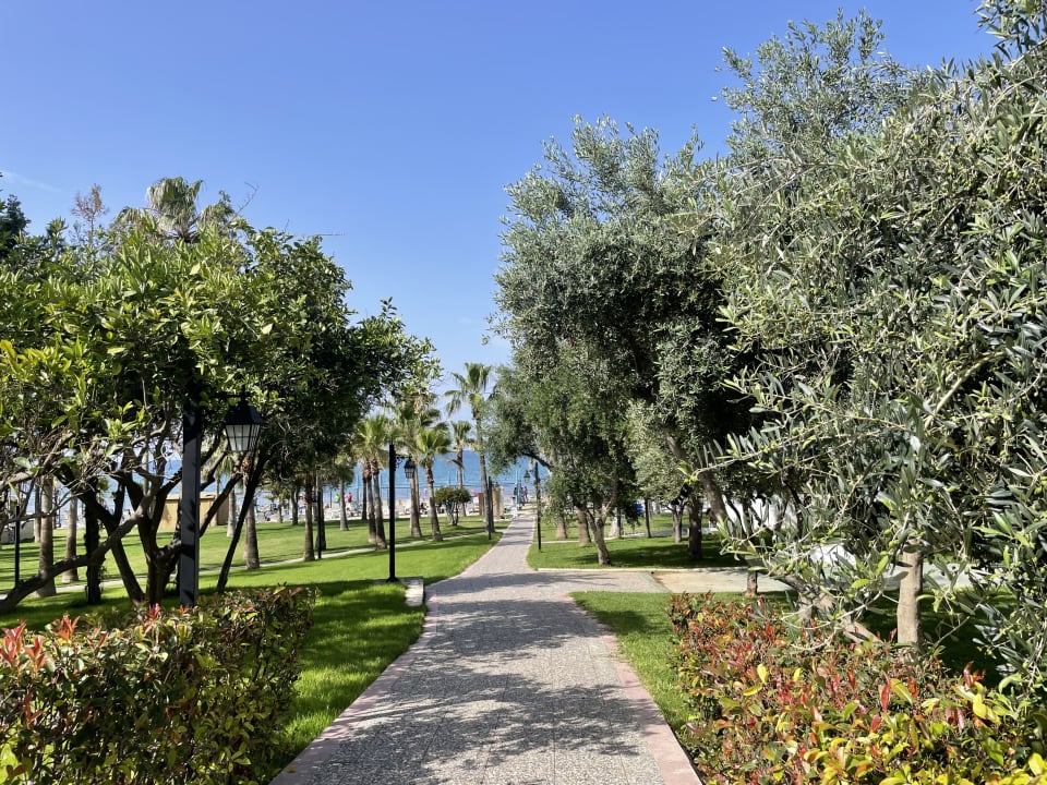 Gartenanlage Iz Flower Side Beach Hotel