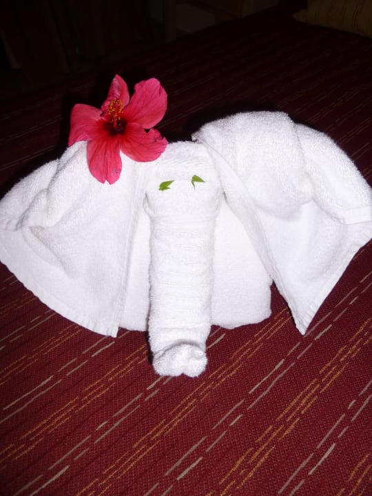 Putzfrau macht aus Handtuch Elefant Sol Rio De Luna y Mares