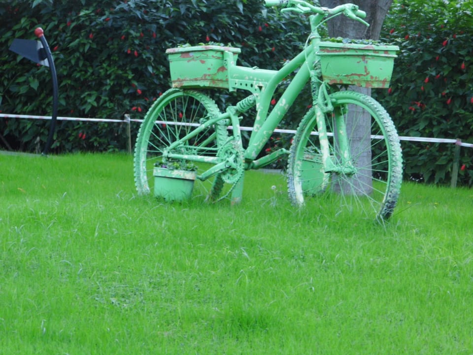 Zimmer Limak Limra Hotel & Resort