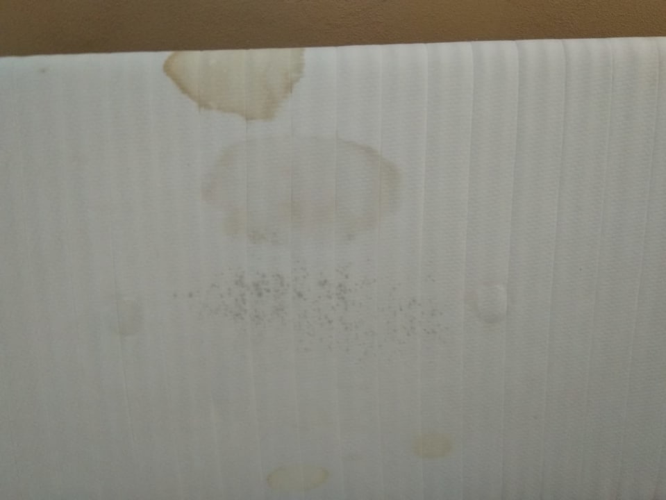 Zimmer Queen's Park Hotel