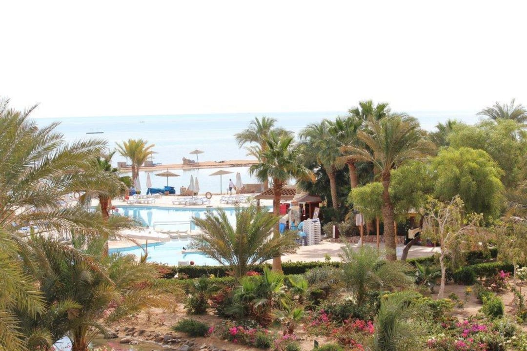 Oasis Pool Mövenpick Resort & Spa El Gouna