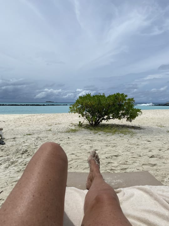 Strand Summer Island Maldives