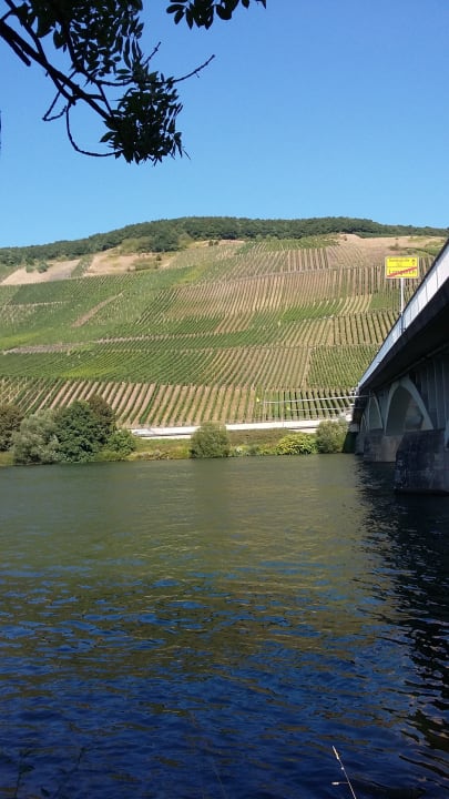 Ausblick Gästehäuser Alte Burg