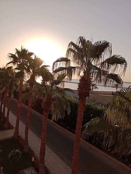 Zimmer Pickalbatros Palace Resort