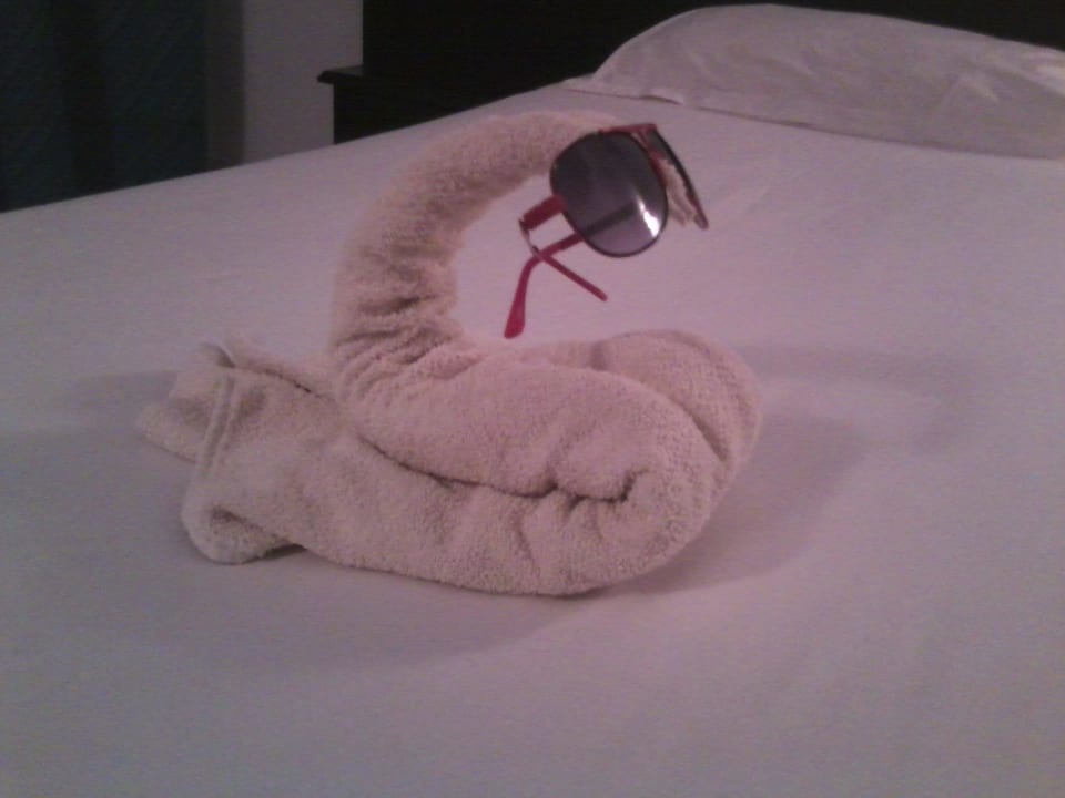 Überraschung von unserer Putzfrau  Hotel Dar Salem