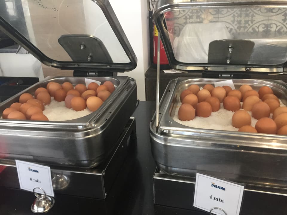 Gastro Delfina Tropic Beach