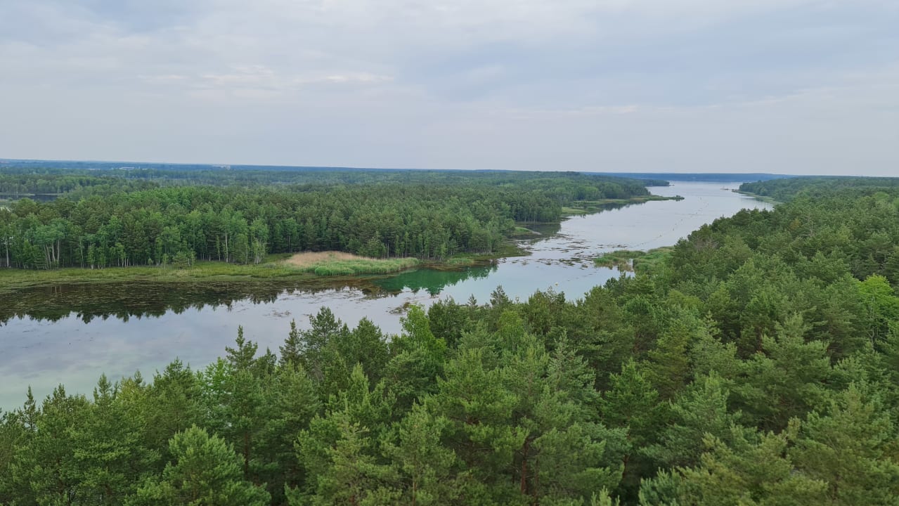 Ausblick Familienpark Senftenberger See