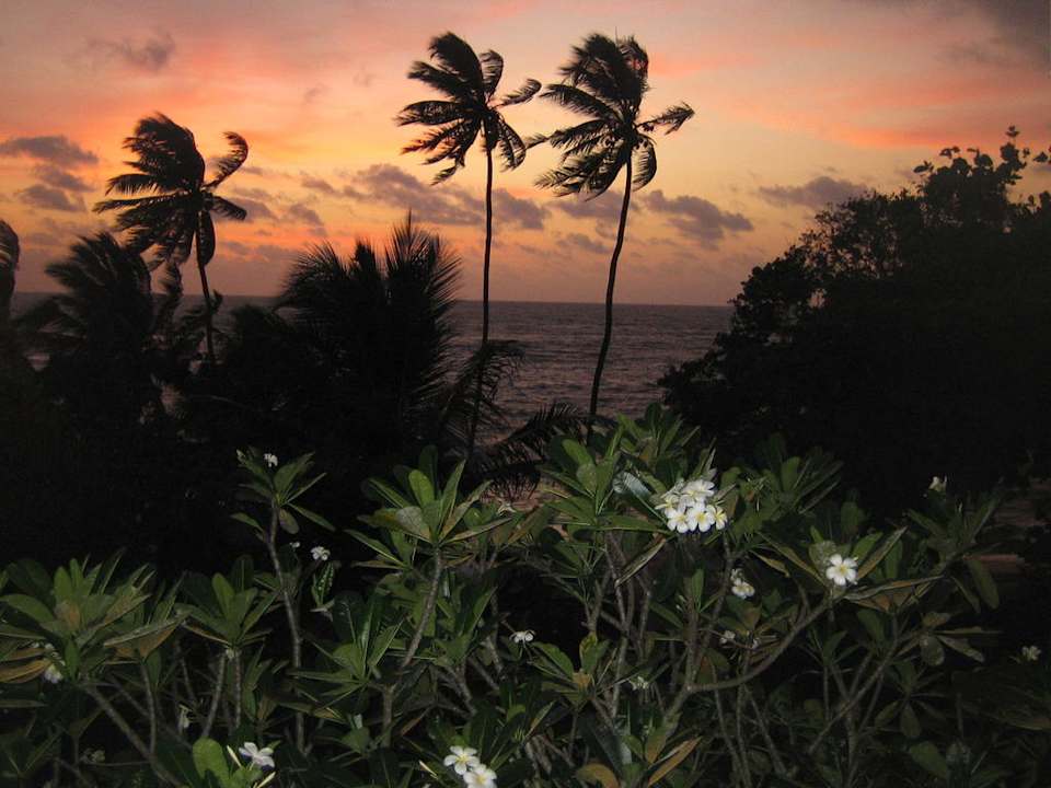 Balkon-Ausblick abends Earl’s Reef Beruwala