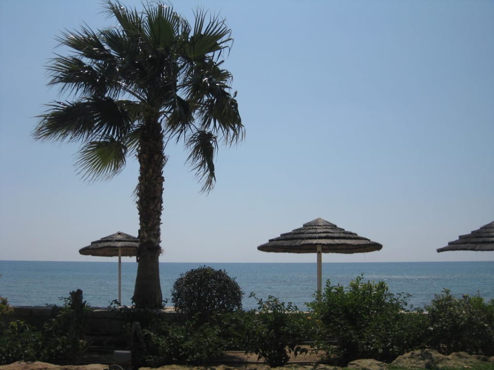 Sicht von der Wiese Columbia Beach Resort