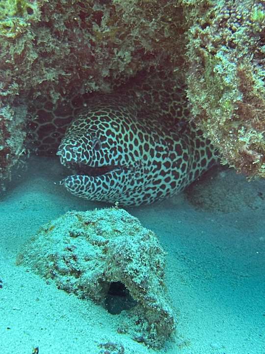 Sport & Freizeit Ocean Paradise Resort & Spa