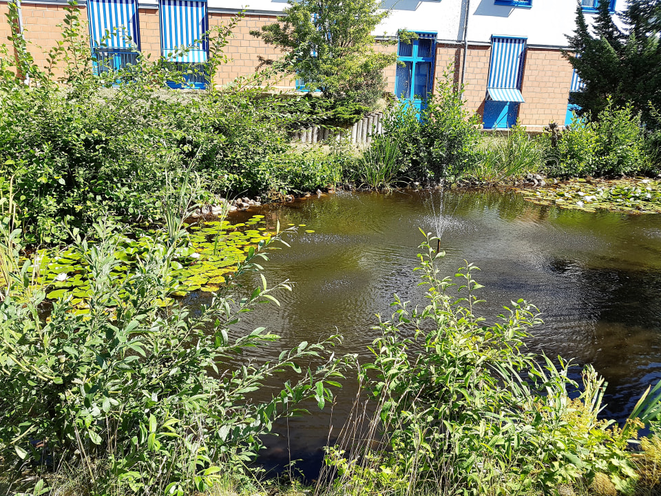 Gartenanlage Hotel Wyndham Garden Wismar