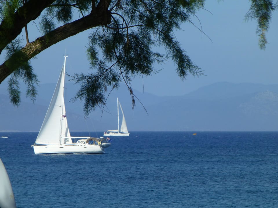 Blick von der Liege TUI BLUE Oceanis Beach and Spa Resort