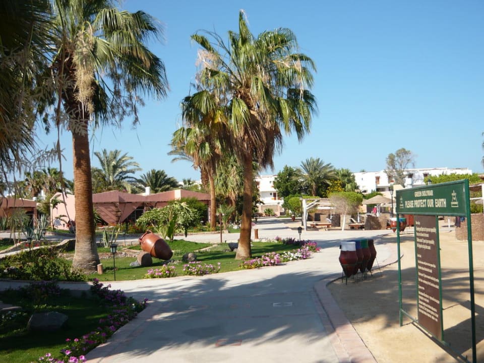 Rechts der Strand, links die Bungalows Eagles Paradise Abu Soma